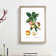 Apple Tree Branch by Pierre-Joseph Redoute - Single Picture Frame Painting