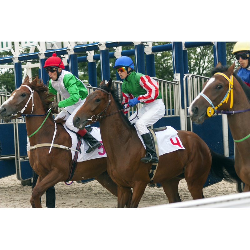 Start Horse Racing - Wrapped Canvas Print, 30cm H x 46cm W x 3.8cm D