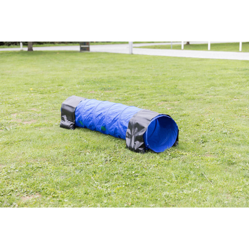 Blue and Black 6.5-ft Dog Agility Training Tunnel