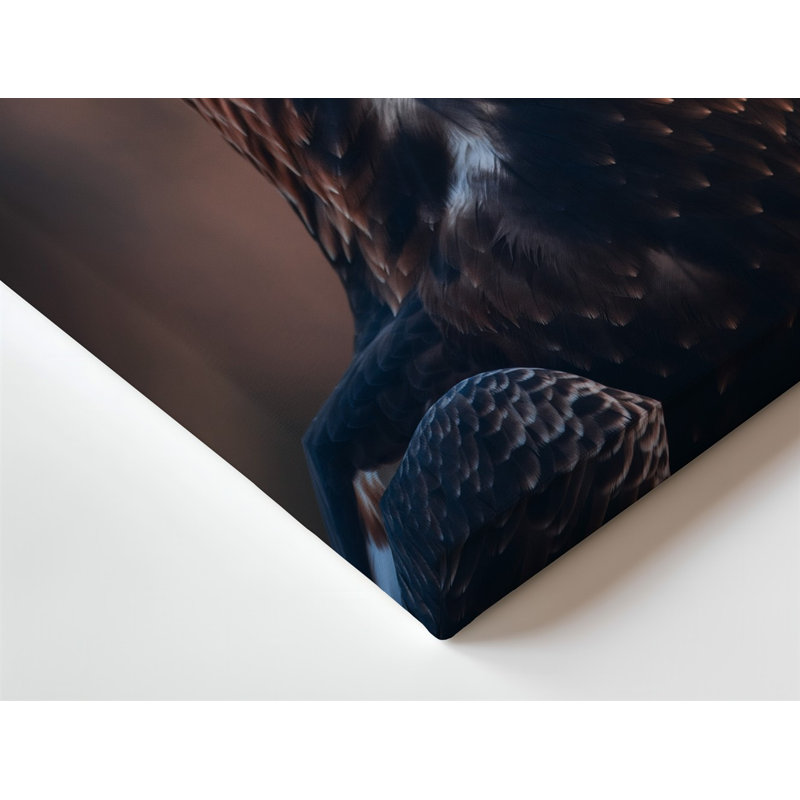 Toile, Aigle majestueux avec un regard vif et saisissant mettant en vedette un art mural riche, un plumage foncé accentué par des taches plus légères