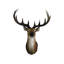 Buste en cerf 14,57 po