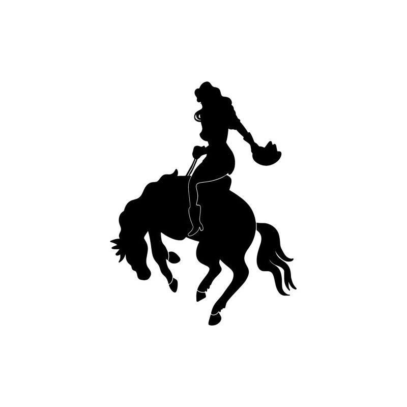 SS11208, cow-boy de rodéo, silhouette de cheval debout