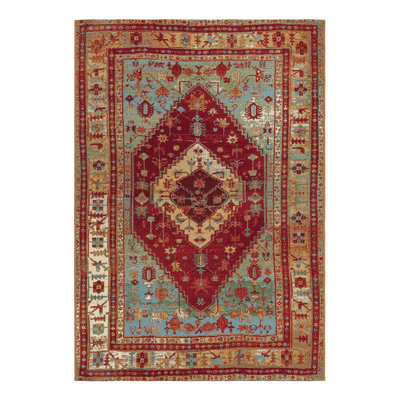 Indoor/Outdoor Traditional Area Rug