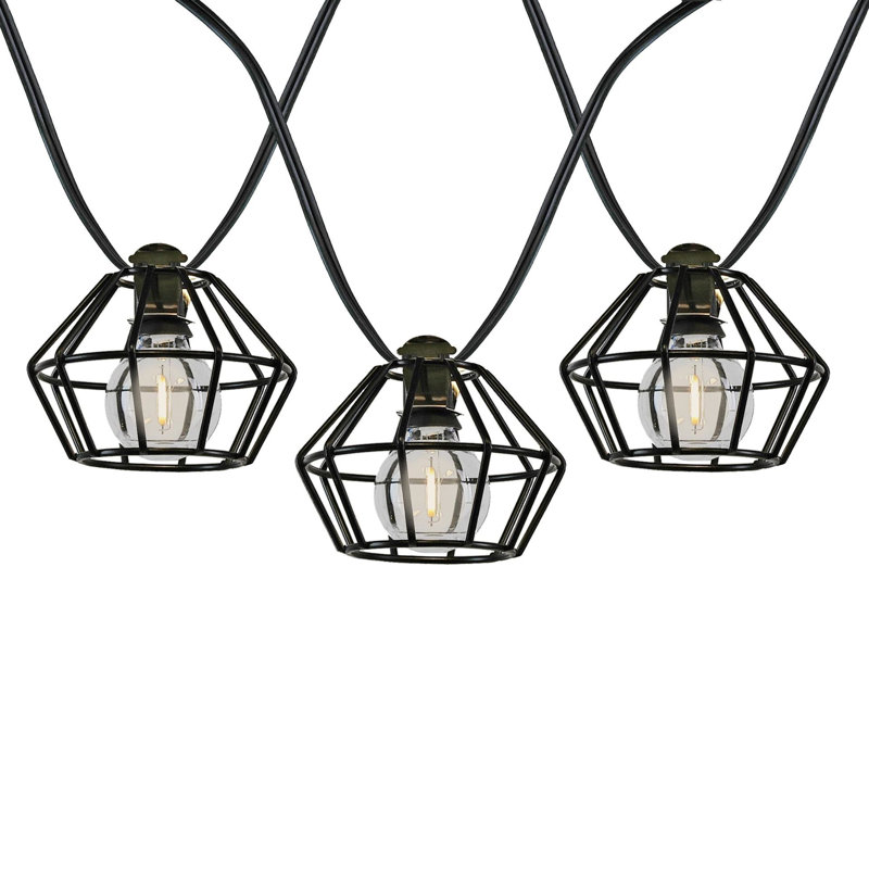 Doyne Outdoor 10 - Bulb 11'' Plug-in LED Globe String Light
