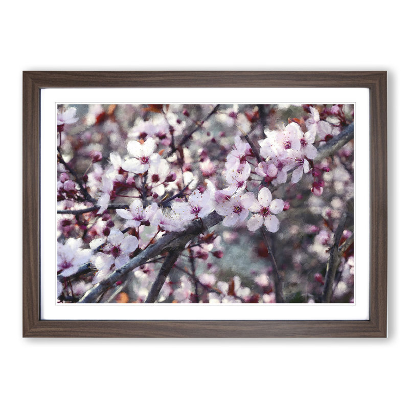 Pink Cherry Blossom Flowers Vol.8 - Framed Print, 27cm H x 36cm W x 2cm D, Walnut Framed