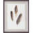 Framed Paper selected