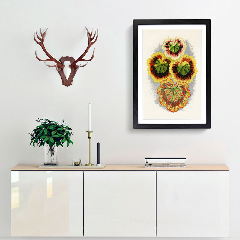 Geranium Leaves by Benjamin Fawcett - Framed Print, 48cm H x 36cm W x 2cm D, Black Framed