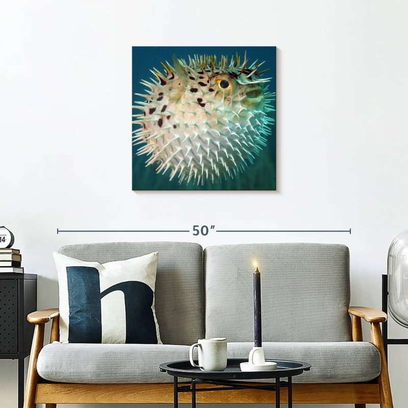 Brampt Puffer Fish, 24" H x 24" W