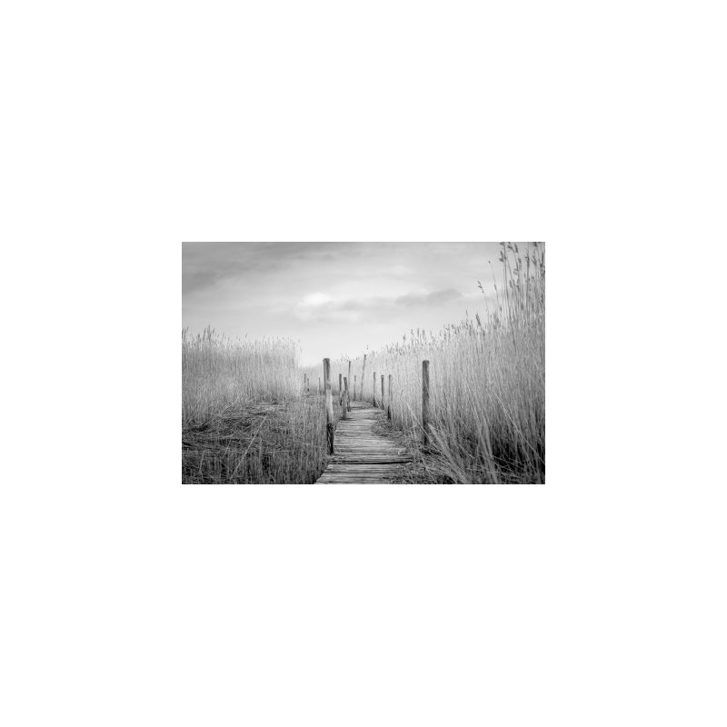 Wrapped Canvas Print, 50.8 cm H x 76.2 cm W