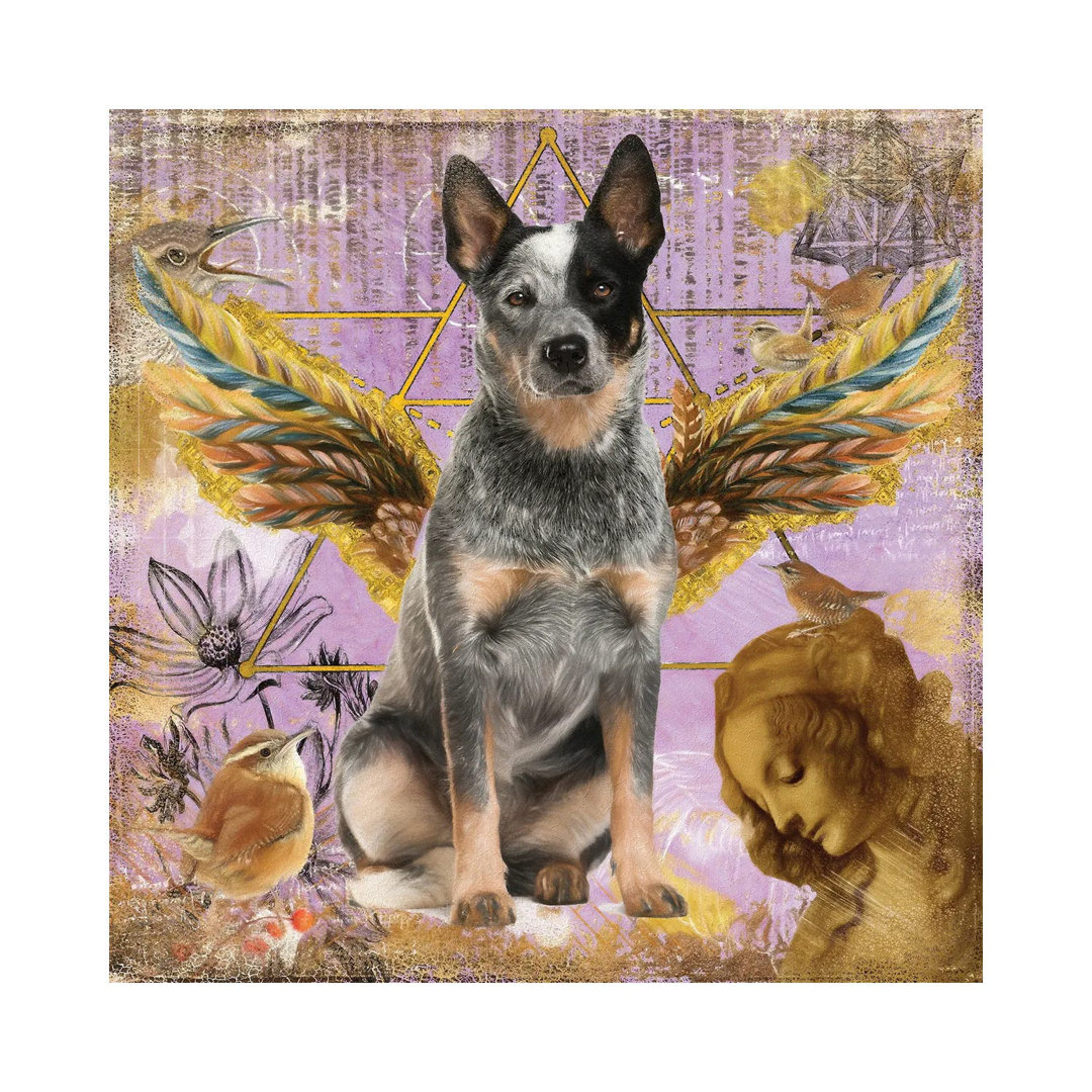 Australian Cattle Dog Blue Heeler Angel