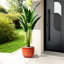 Jardinière en céramique avec drainage intégré pour une élégance moderne en intérieur / extérieur - conception corail durable