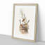 Crowned Wrens by Elizabeth Gould - Framed Print-55490265-55490264