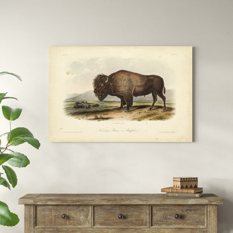 " American Bison " by James Audubon Painting Print, 32" H x 48" W x 1.25" D