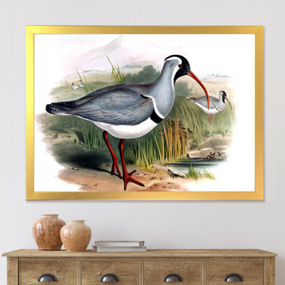 " Vintage Countryside Animals VI " Painting Print