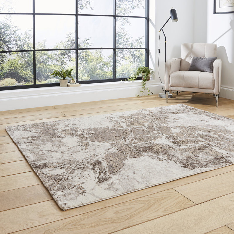 Hannover area rug Machine Woven Rectangle Beige/Silver, Rectangle 120 x 170cm