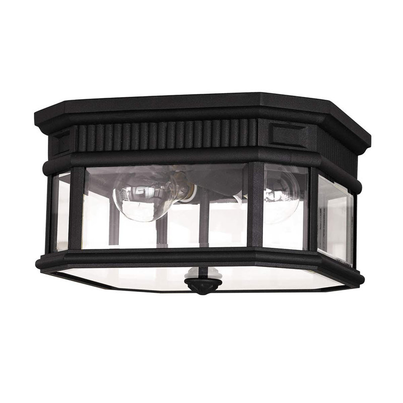 Tibbett 30.5cm W 2 - Bulb Outdoor Flush Mount, Black