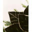 25cm Polystyrene Poinsettia Flower-760812796
