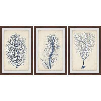 « corail vii », ensemble de 3 reproductions de peintures à l’aquarelle encadrées sur papier