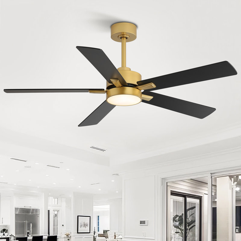 Rolanda 52" 5-inch Downrod Mount Ceiling Fan with Light Kit and Remote Control, Gold with Black Blades