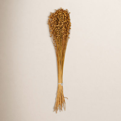 Flax Grass Floral Stems