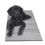 Dog Bed Covers & Accessories