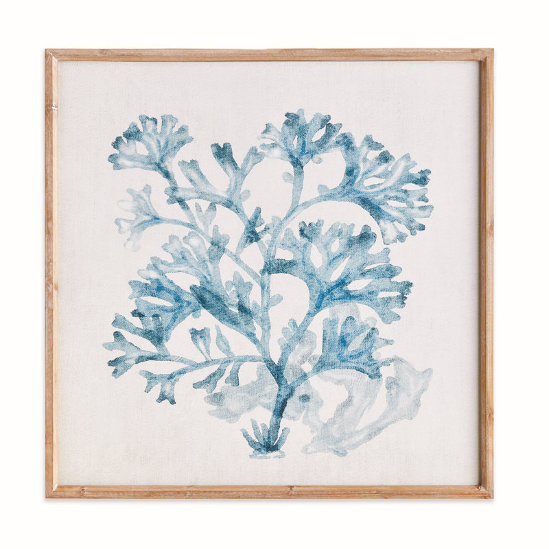 Impression corail translucide
