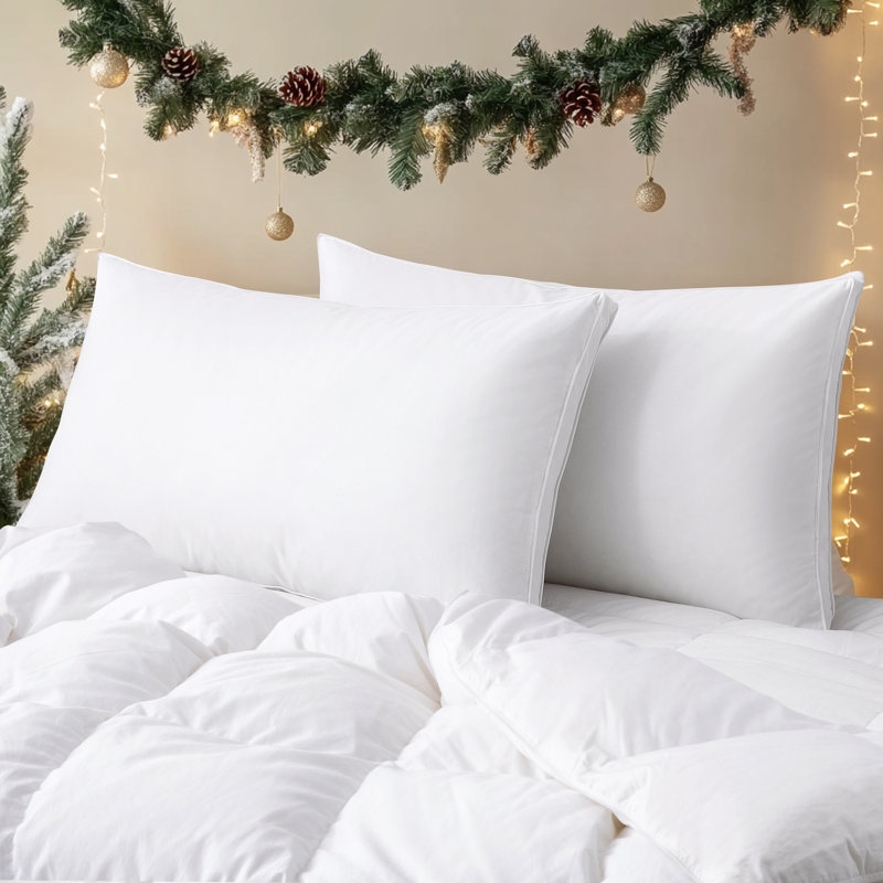 Ensemble de 2 coussins décoratifs Goose Feather, Très grand: 20 po x 36 po