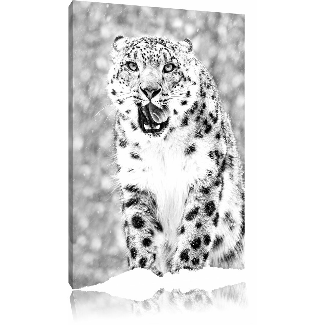 Leinwandbild „Leopard im Schnee“, Fotodruck