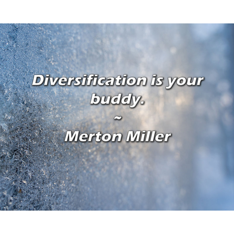 Citation artistique «Diversification is your Buddy». Toile tendue par Merton Miller, H 17 po x l 24 po
