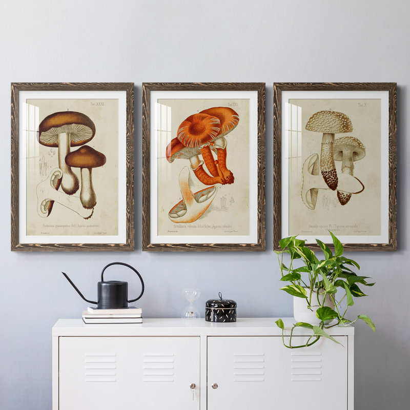 Champignon Variétés VI encadré mat - prêt à accrocher, H 31,5 po x l 47 po x P 1,5 po, Noyer