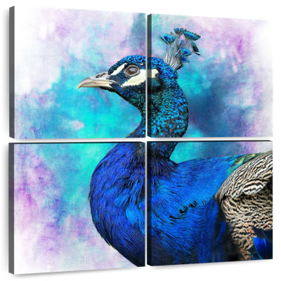 Brampt Proud Blue Peacock
