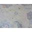 Tapis beige unique de 9 pi 5 po x 12 pi 2 po