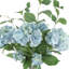 Hydrangea In Glass Vase With Acrylic Water