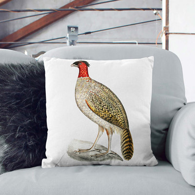 Square Throw Cushion