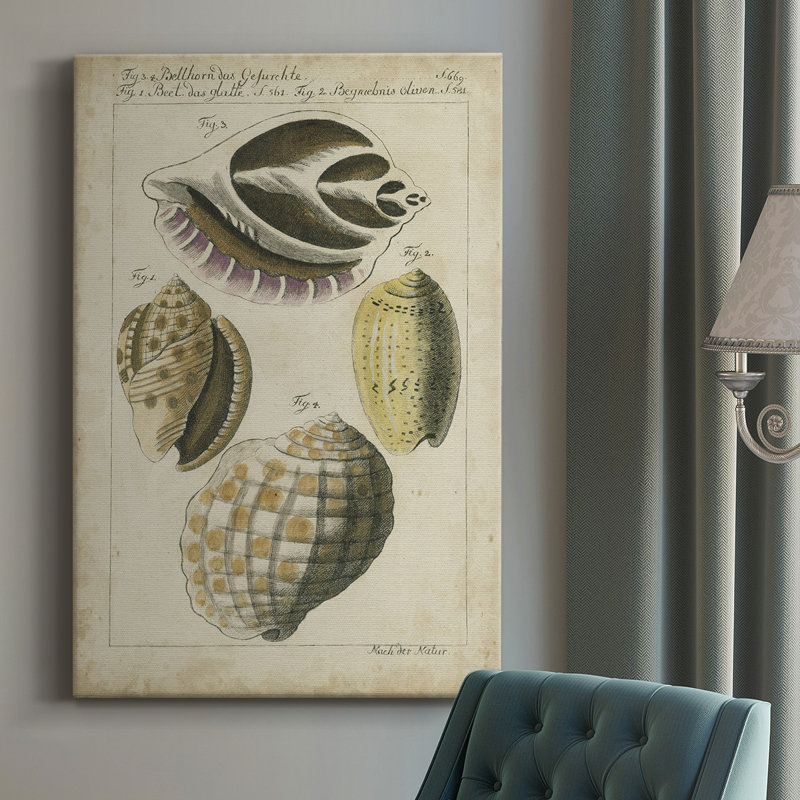 Étude de coquillage rétro I - peinture sur toile tendue, H 12 po x l 8 po x P 1 po
