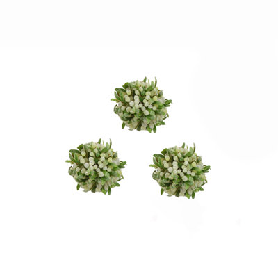 4'' Plants & Flowers Holiday Shaped Ornament