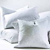 Lumbar Pillow Insert