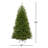 Camron North Valley Spruce Tree-1188237920