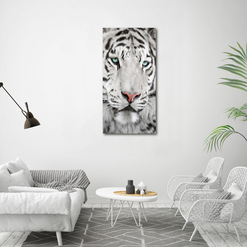 Dogs And Cats - Wrapped Canvas Print