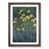 Walnut Framed