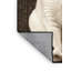  Tapis lavable à poils courts Colorpoint-844264160