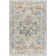 Drinnon Oriental Polyester Area Rug in Gray/Blue/Brown