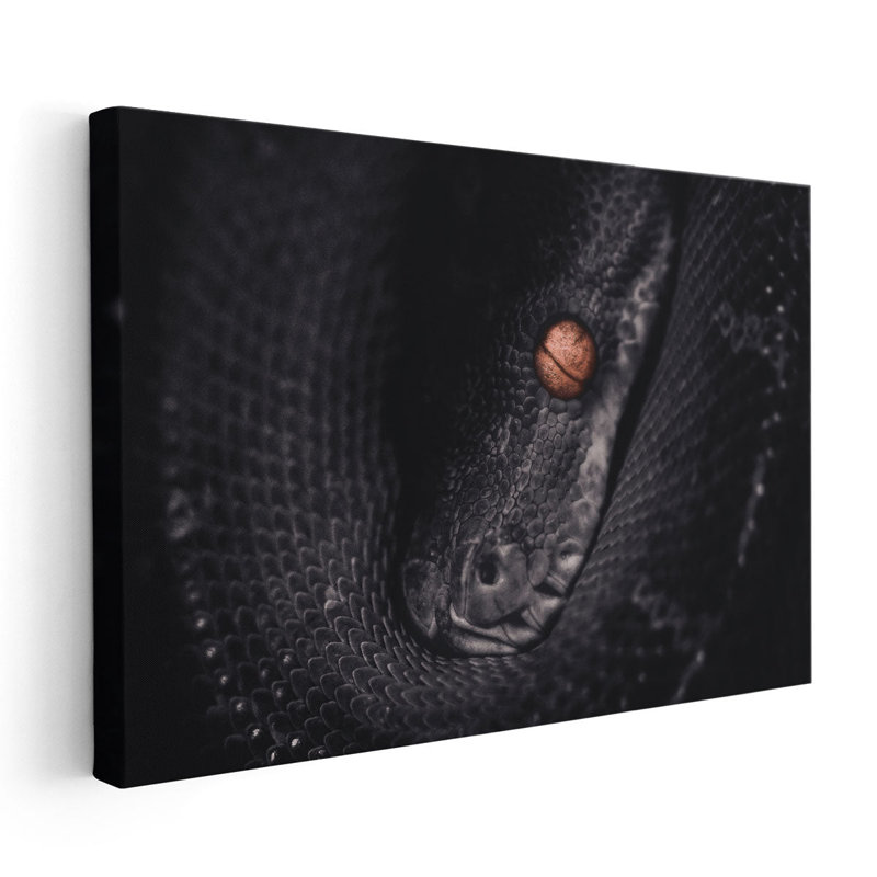 «Python Snake», reproduction d'art sur toile, H 24 po x l 36 po