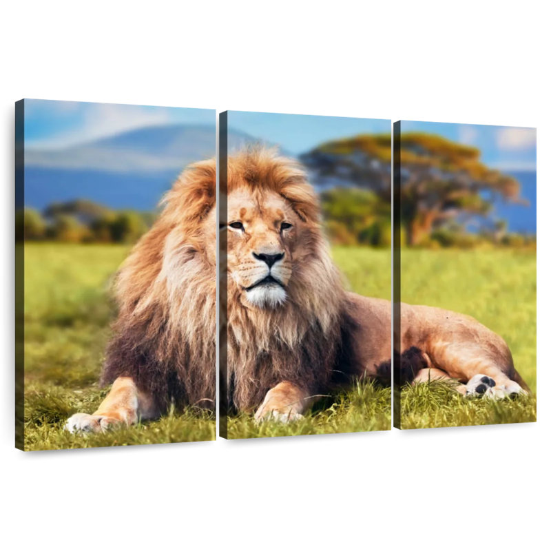 Brampt Chill Safari Lion, 24" H x 38" W