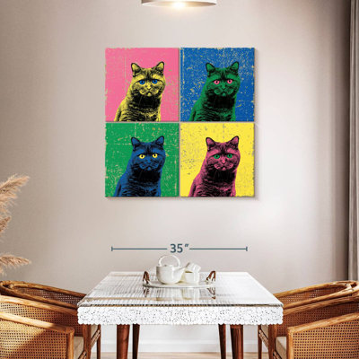 Brampt British Shorthair Pop