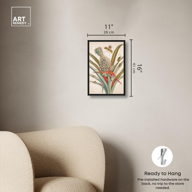 «Merian Metamorphosis», reproduction de toile par Art Remedy, Black Floater Framed, 16" H x 11" W