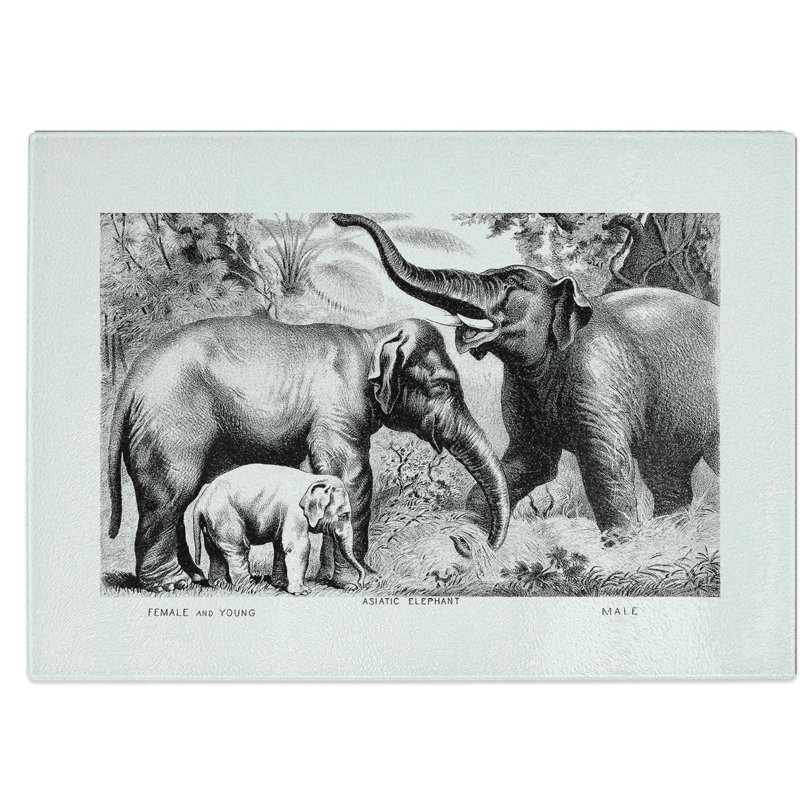 Tempered Glass Asian Elephants Chopping Board, 39 cm W x 28.5 cm L