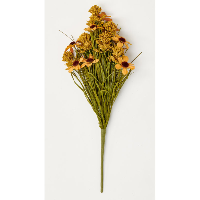 Daisy d'automne 17 po