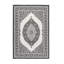 Dynamic Ornamental Indoor / Outdoor Area Rug-93630405