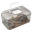 Terrarium gris transparent pour insectes et reptiles